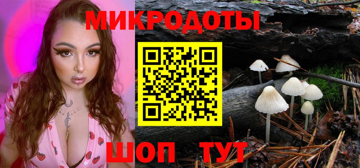 Ижевск  Псилоцибиновые грибы GOLDEN TEACHER  Вход с VPN 